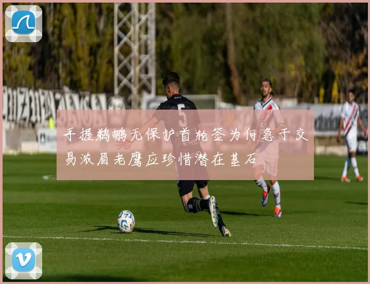 手握鹈鹕无保护首轮签为何急于交易浓眉老鹰应珍惜潜在基石