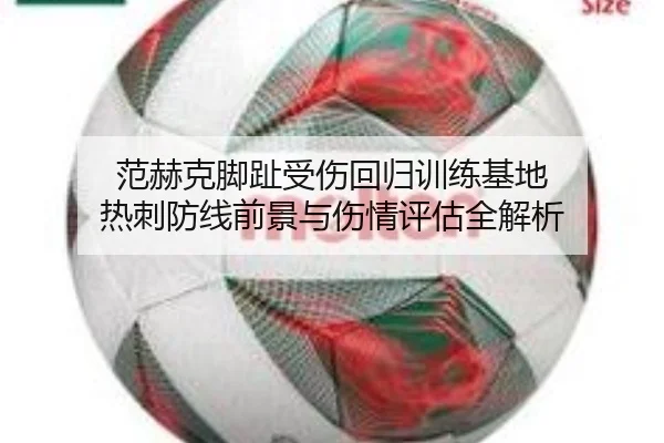 范赫克脚趾受伤回归训练基地 热刺防线前景与伤情评估全解析 | 188bet